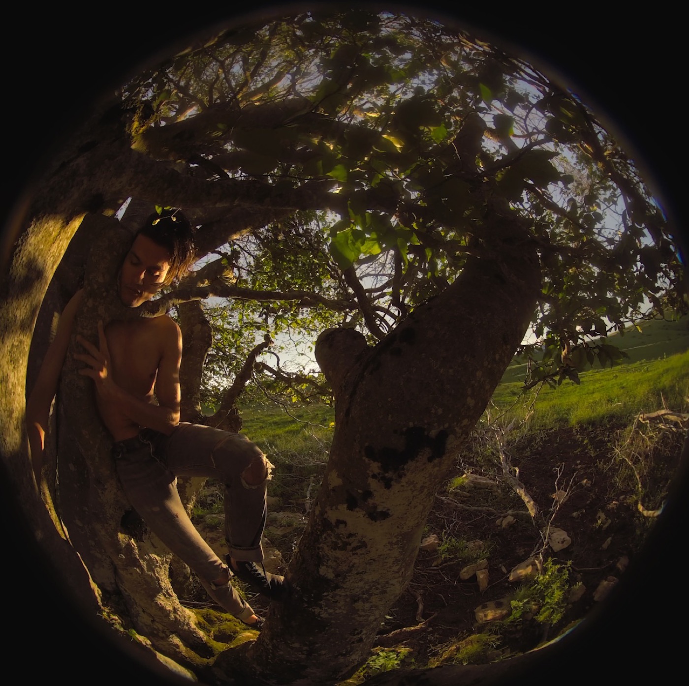 Fisheye frame from TERRAIN